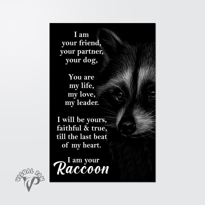 I am your Friend your partner your Raccoon