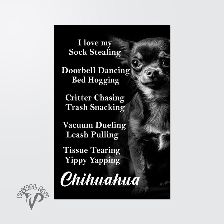 I love my Sock Stealing doorbell Dancing chihuahua Poster