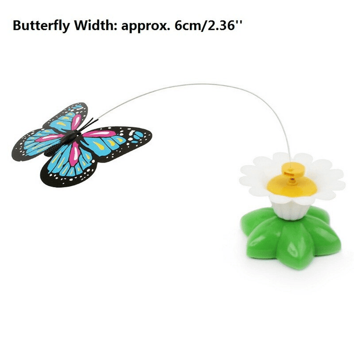 Cat Toys Butterfly