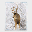 Deer Hunting 418 Shepra Blanket