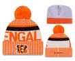 NFL Cincinnati Bengals Logo Stitched Knit Beanies 011