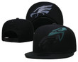 Philadelphia Eagles Stitched Snapback Hats 070