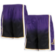 Los Angeles Lakers  Youth 2009/10 Hardwood Classics Fadeaway Reload 3.0 Swingman Shorts - Purple/Black