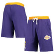 LeBron James Los Angeles Lakers Name & Number French Terry Shorts - Purple
