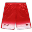 Chicago Bulls s Branded Big & Tall Fadeaway Shorts - Red