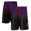 Toronto Raptors  1998/99 Hardwood Classics Fadeaway Reload 3.0 Swingman Shorts - Purple/Black