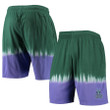 Milwaukee Bucks  Hardwood Classic  Shorts - Green/Purple