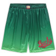 Milwaukee Bucks  Hardwood Classics Big & Tall Team Heritage Dazzle Shorts - Green