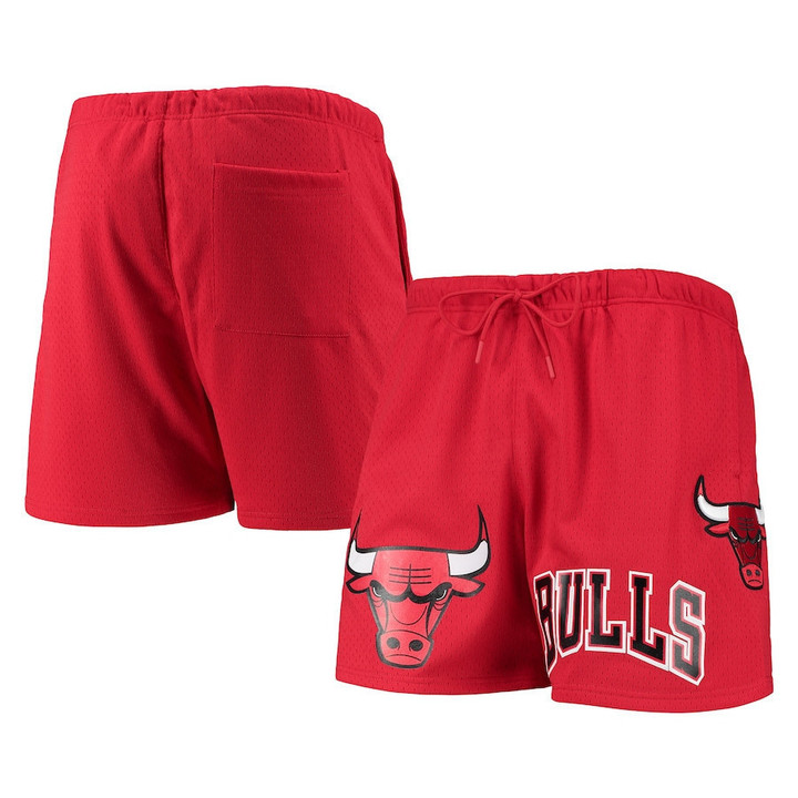 Chicago Bulls Pro Standard Mesh Capsule Shorts - Red