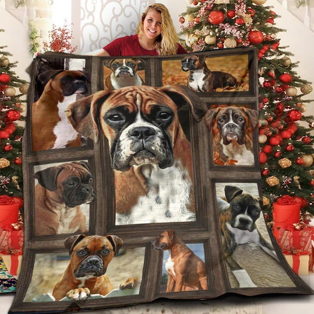 boxer-you-in-my-store-quilt