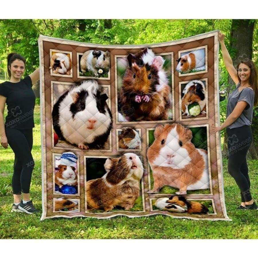guinea-pig-ttgg144-awesome-quilt