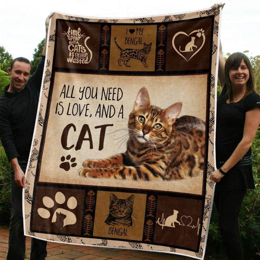 cat-this-love-is-sure-thing-quilt