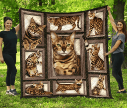 bengal-cat-c1tybh1-love-quilt