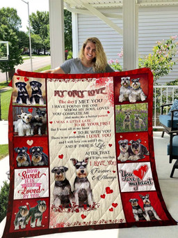 miniature-schnauzer-my-only-love-jji332-awesome-quilt