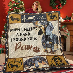 dachshund-i-found-a-love-awesome-myt329-quilt