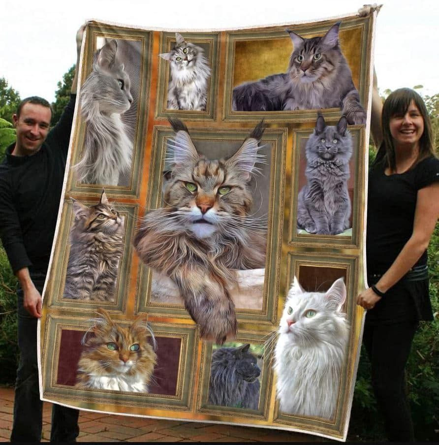 cat-maine-coon-lovers-quilt