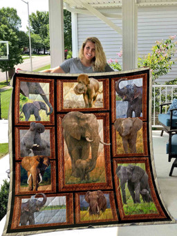 elephant-wild-life-awesome-myt727-quilt