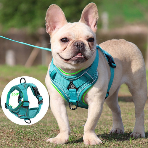French Bull Dog Harnesses I Save Up To 34%