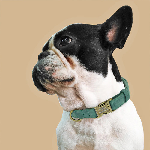 Dog Collars Louis Vuitton I Up To 35% OFF