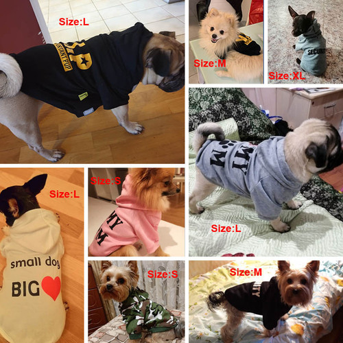 Small Dog Hoodie I Up To 41% OFF