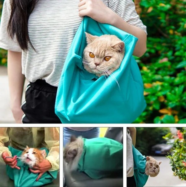 Cat - Carry Pouch (Buy 2 Get 1 Free)