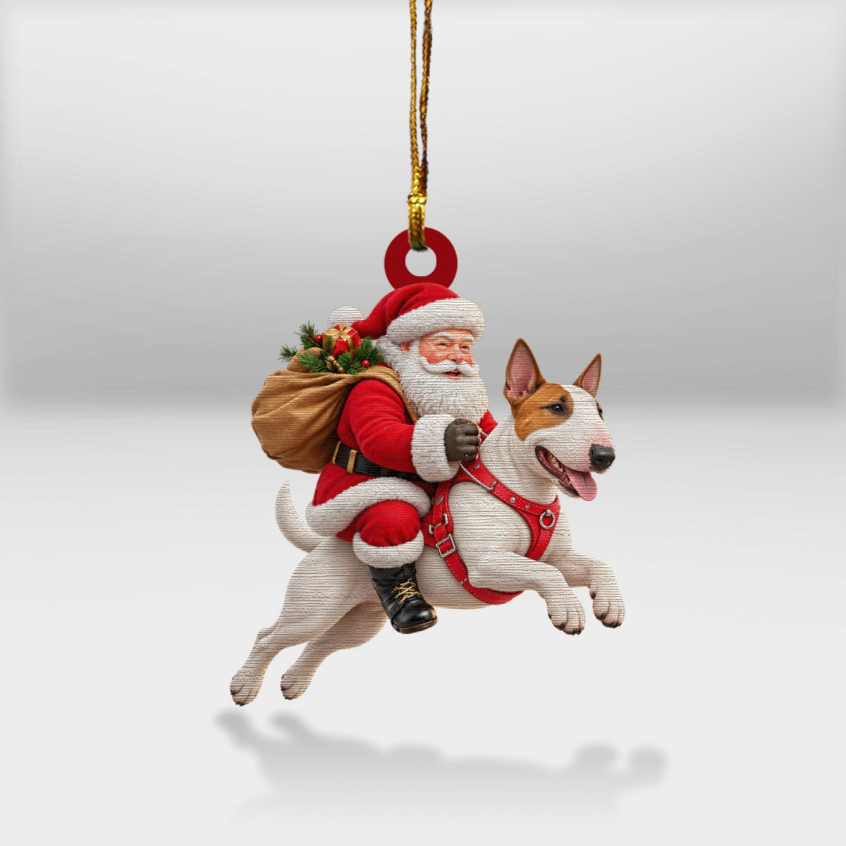 Bull terrier lover collection