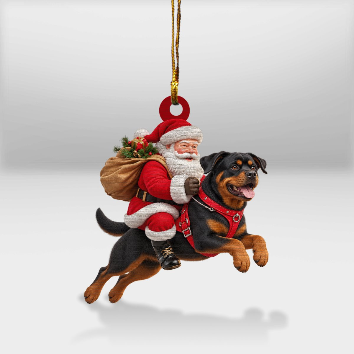 Rottweiler lover collection