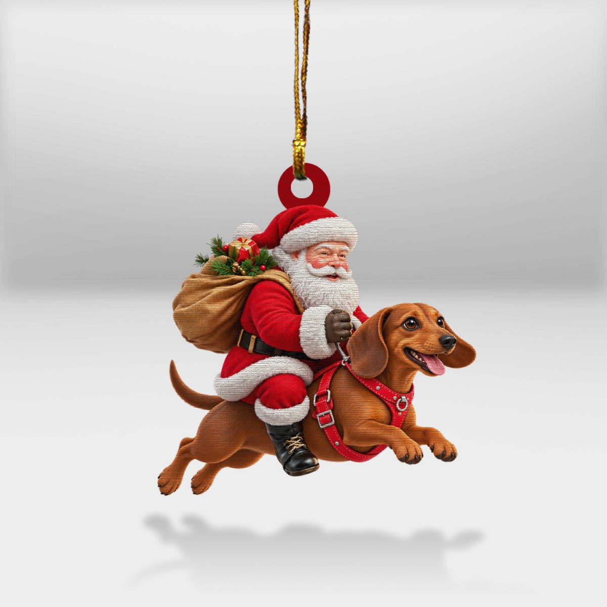 Dachshund Lover Collection 