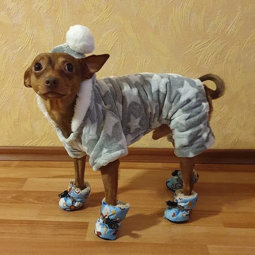 Chihuahua Warm Jumpsuit