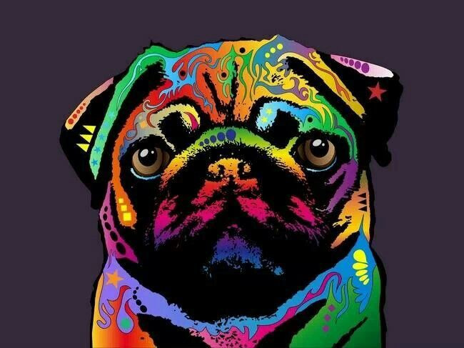 Pug Pop Art Print