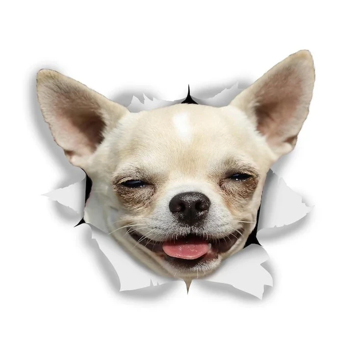 Chihuahua Funny Car Stickers