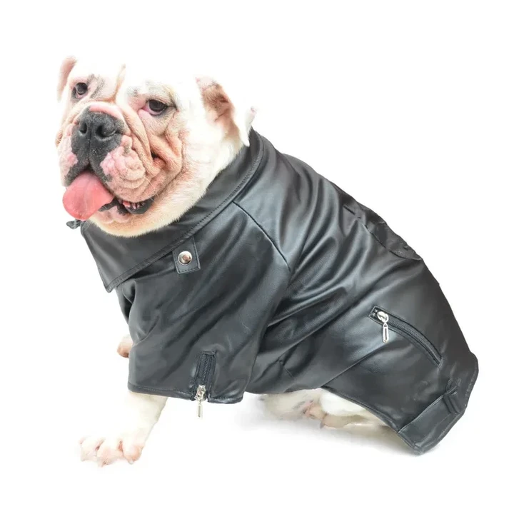 Bulldog Leather Jacket