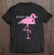 womens-flamingo-dont-make-me-put-my-foot-down-pink-flamingo-v-neck-t-shirt