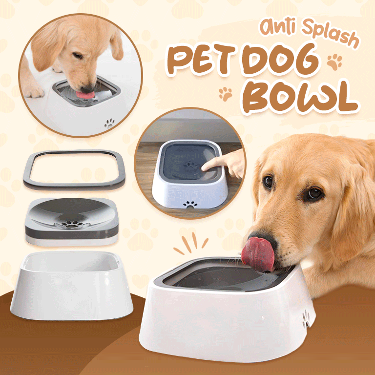 Anti Splash Pet Dog Bowl