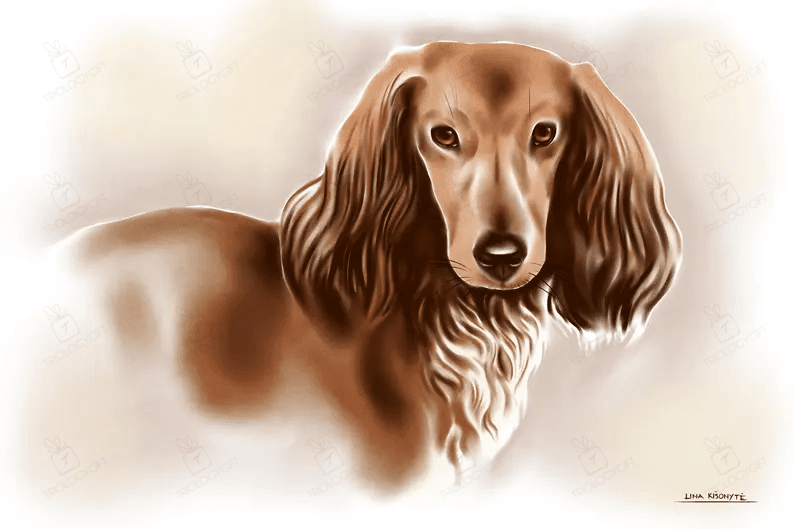 Dachshund Watercolor Print On Canvas