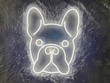 Dog Neon Sign, Animal Neon Sign, Led Neon Sign, Cute Neon Sign, Neon Wall Decor, Pug Neon Light, Pug Led Light, Best gift, Home decor, Kid decor