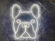 Dog Neon Sign, Animal Neon Sign, Led Neon Sign, Cute Neon Sign, Neon Wall Decor, Pug Neon Light, Pug Led Light, Best gift, Home decor, Kid decor
