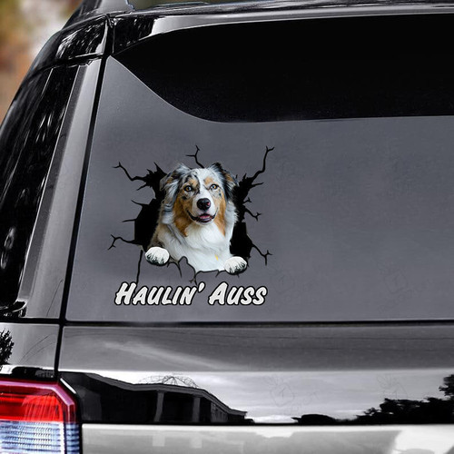 Australian Shepherd Haulin' Auss Car Decals Sticker, Window Decals Car, Gift For Car, Dogs Decals Lover, Custom Bumper Stickers