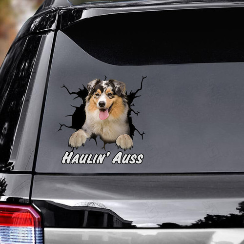 Haulin' Auss Australian Shepherd Crack Car Decals, Window Decals Car, Gift For Dogs Lover, Pet Decals Car, Car Window Stickers