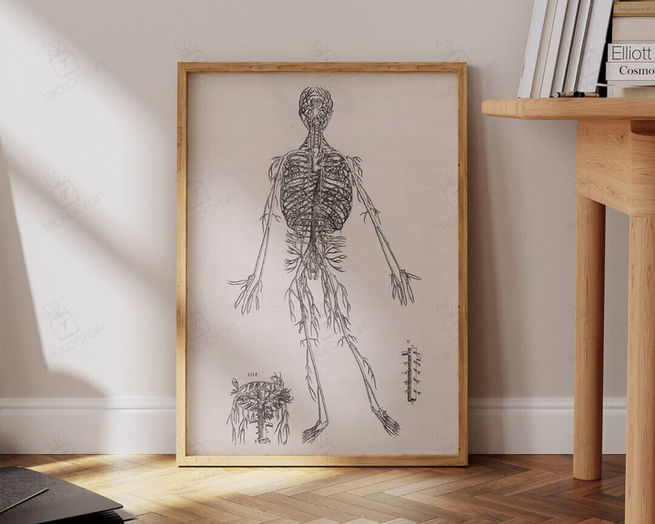 Vintage Human Anatomy Print Macabre Antique Circulatory System Medical Art Large Living Room Office Wall Art Ready To Hang Framed Poster