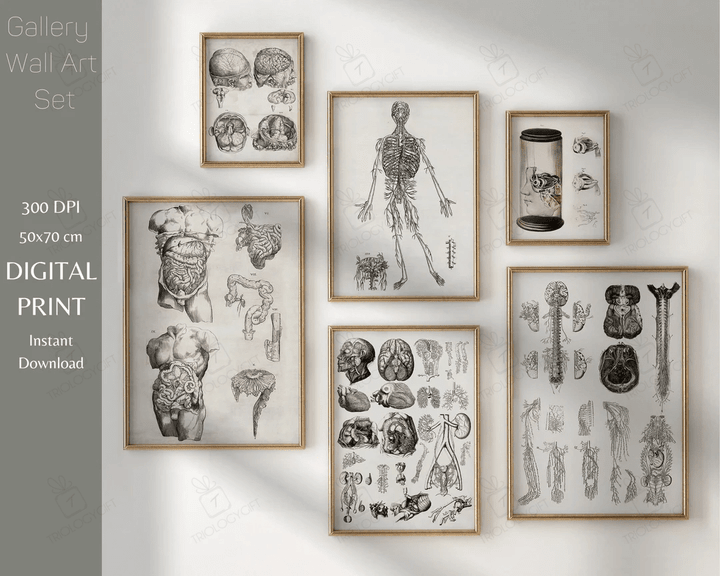 Digital Download Print Gallery Wall Art Set Vintage Human Anatomy Antique Medical Anatomical Biology Art Print Large Printable Wall Art