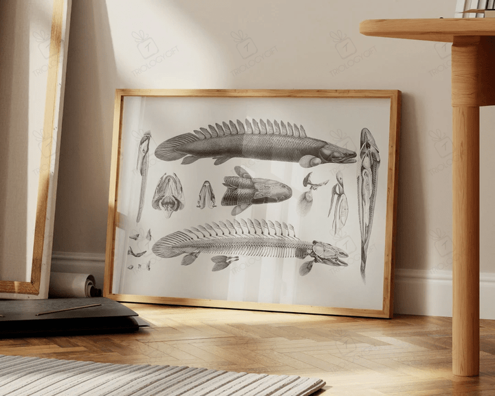 Vintage Fish Biology Skeleton Anatomy Print Antique Nature Art Large Livingroom Office Wall Art Ready To Hang Framed Poster