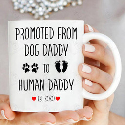 Promoted From Dog Daddy To Human Daddy Mug