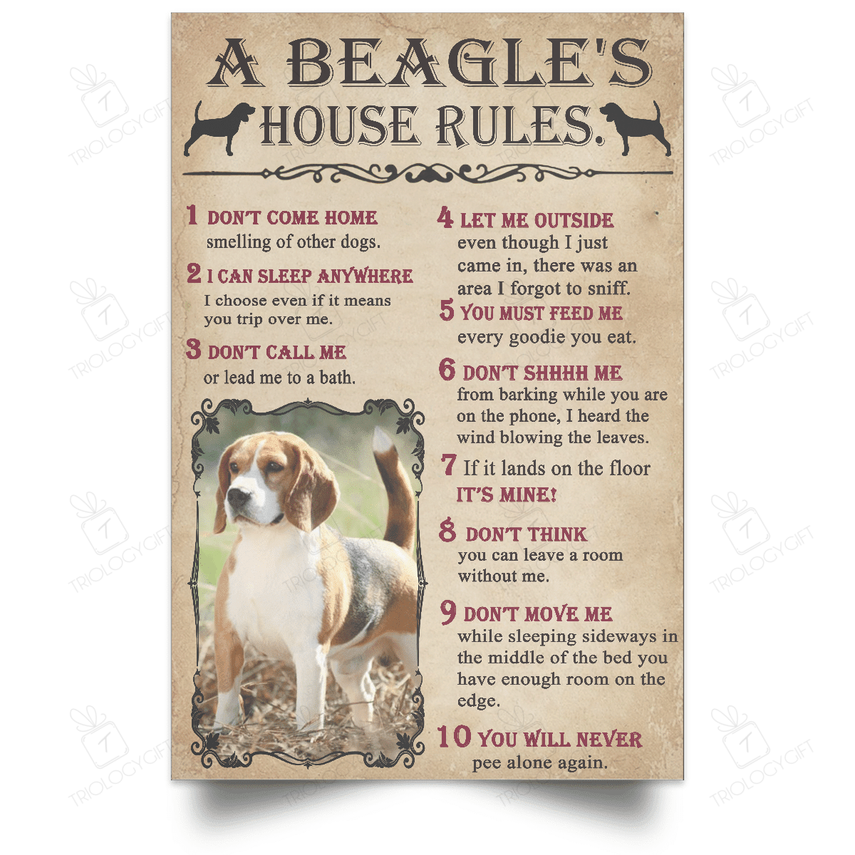 rosabella-customized-gifts-personalized-custom-your-dog-retro-beagle-house's-rules-poster-mom-dad-gift-home-decor