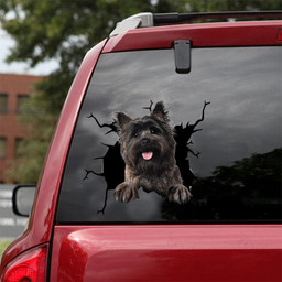 Cairn Terrier Crack Sticker Design Lovable Stickers For Dad, Vw Transporter Vinyl Stickers 12x12IN 2PCS