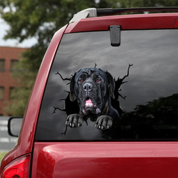 Neapolitan Mastiff Crack Decal For Car Window Funny Faces Face Stickers Gifts For Bakers, Sports Car Stickers 12x12IN 2PCS