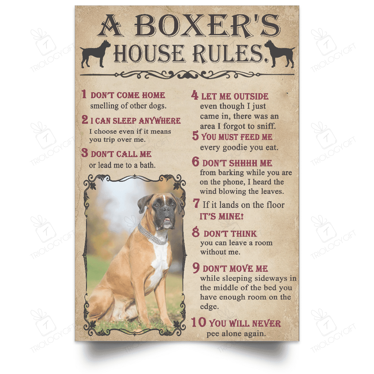 Rosabella Customized Gifts Personalized Custom Your Dog Retro Boxer House's Rules Poster  12x18in Poster