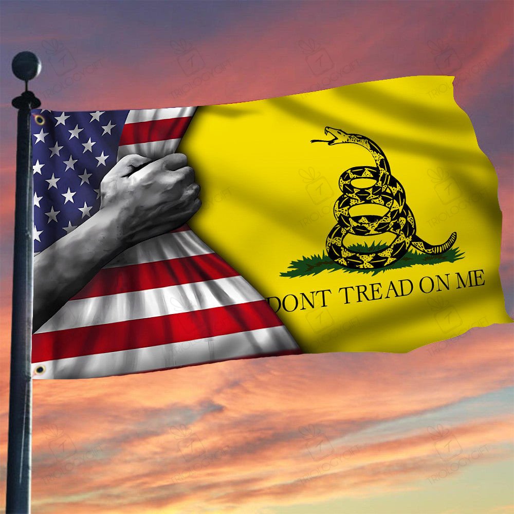 Snake Dont Tread On Me Inside American Flag 2Nd Amendment Flag ...