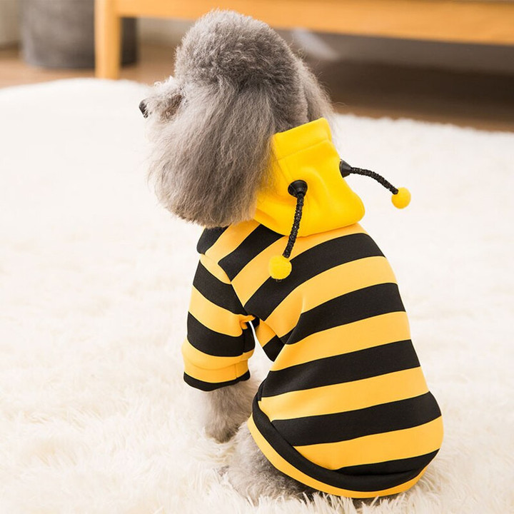 Yorkie Bee Costume