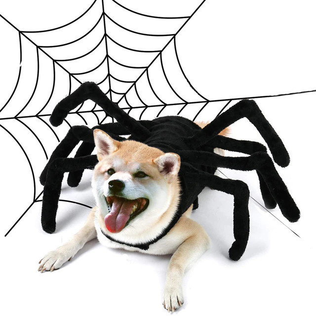 Spider Chest Dog Cosplay